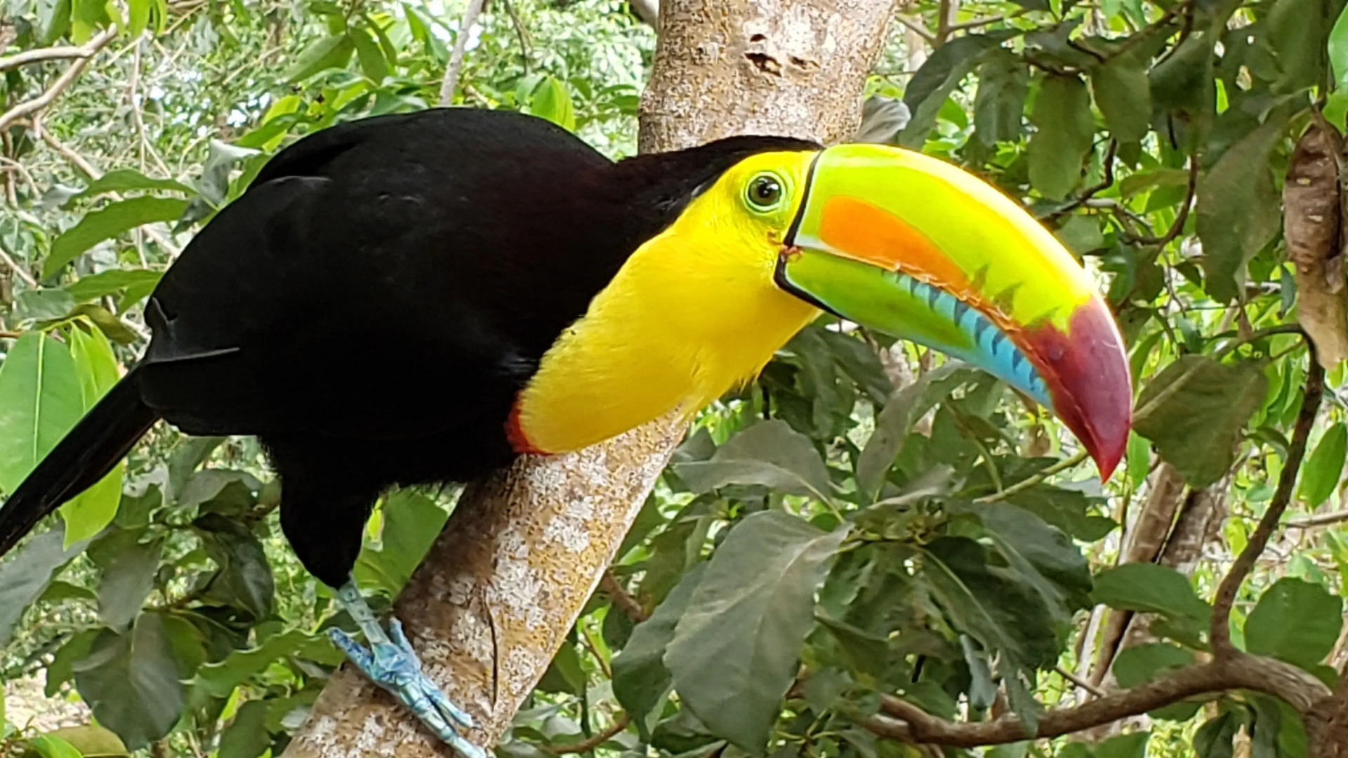 Boca Chica Bay Eco Lodge