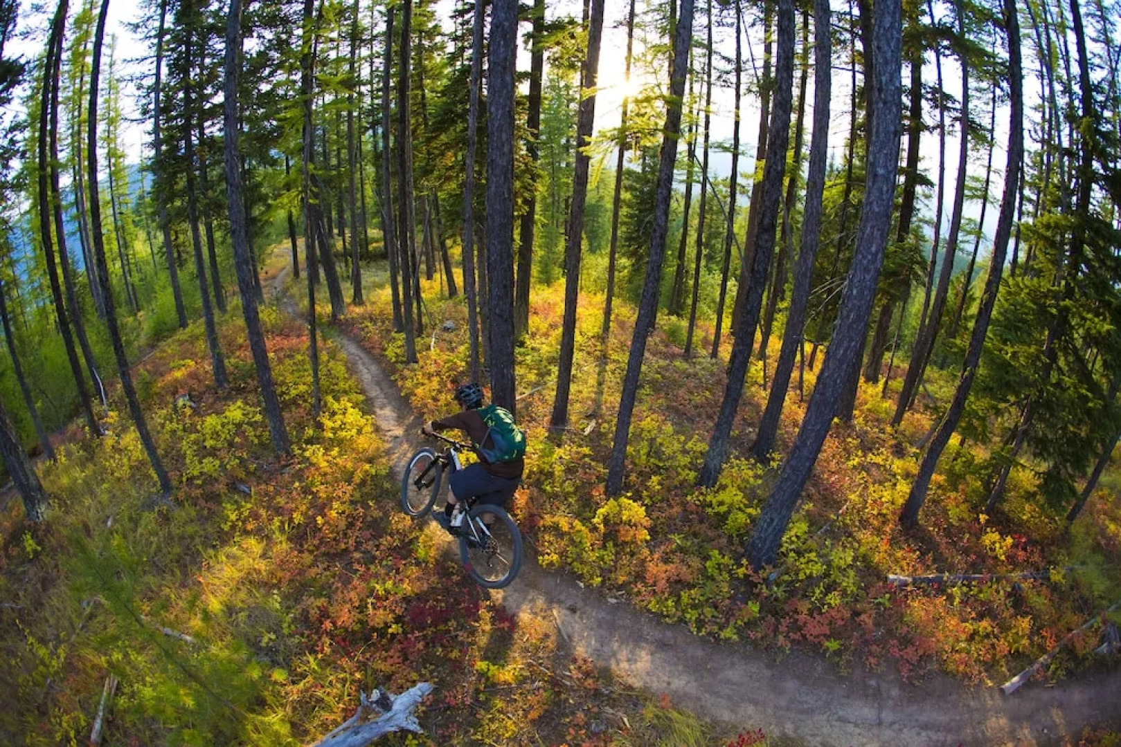 Three Seasons Hotel Suites by Crested Butte Lodging