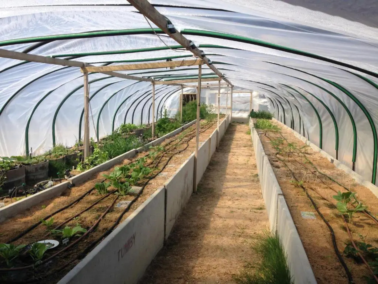 Coonawarra Bush Holiday Park