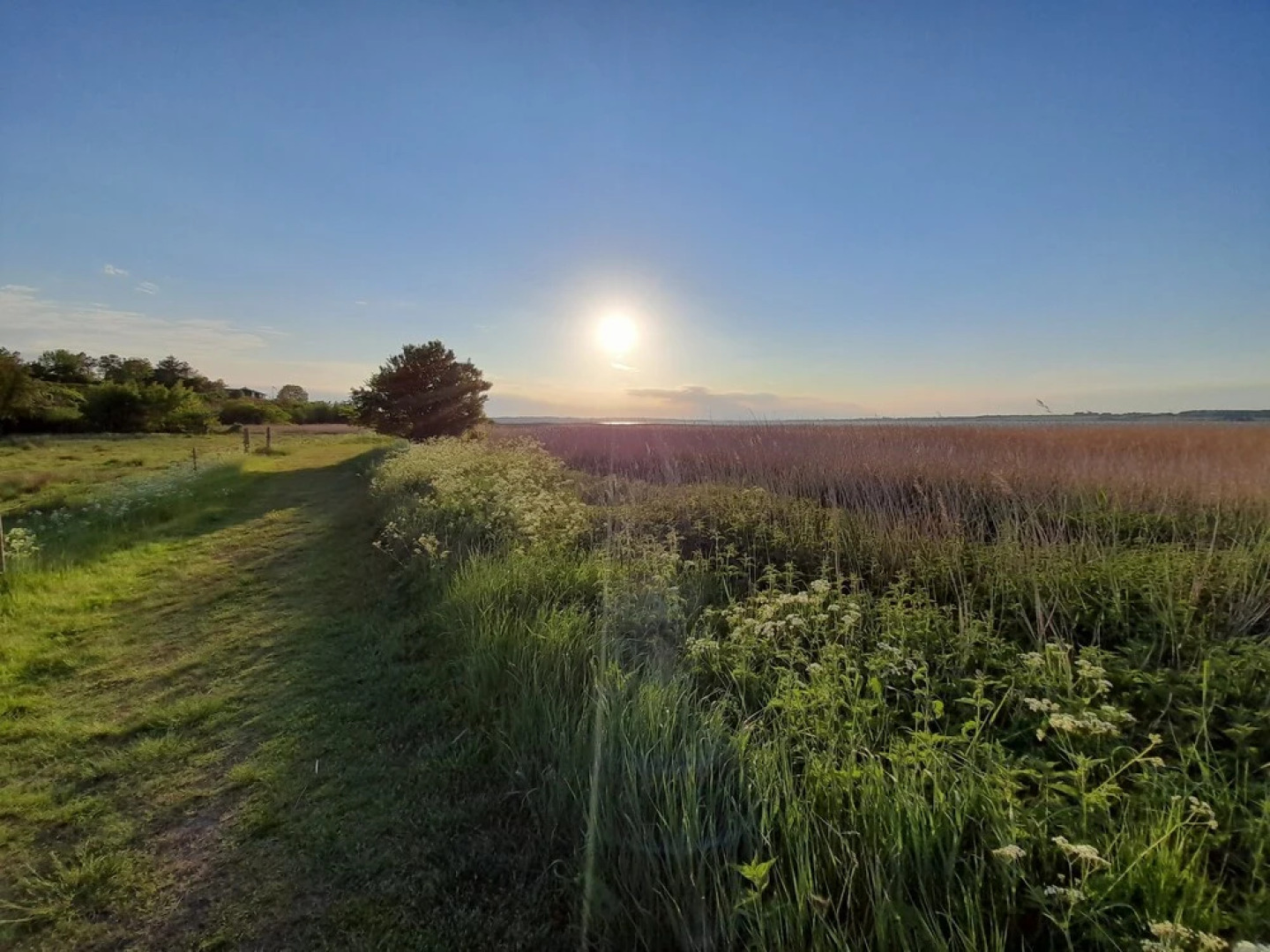 The Comfort of This Cottage Merges With Nature