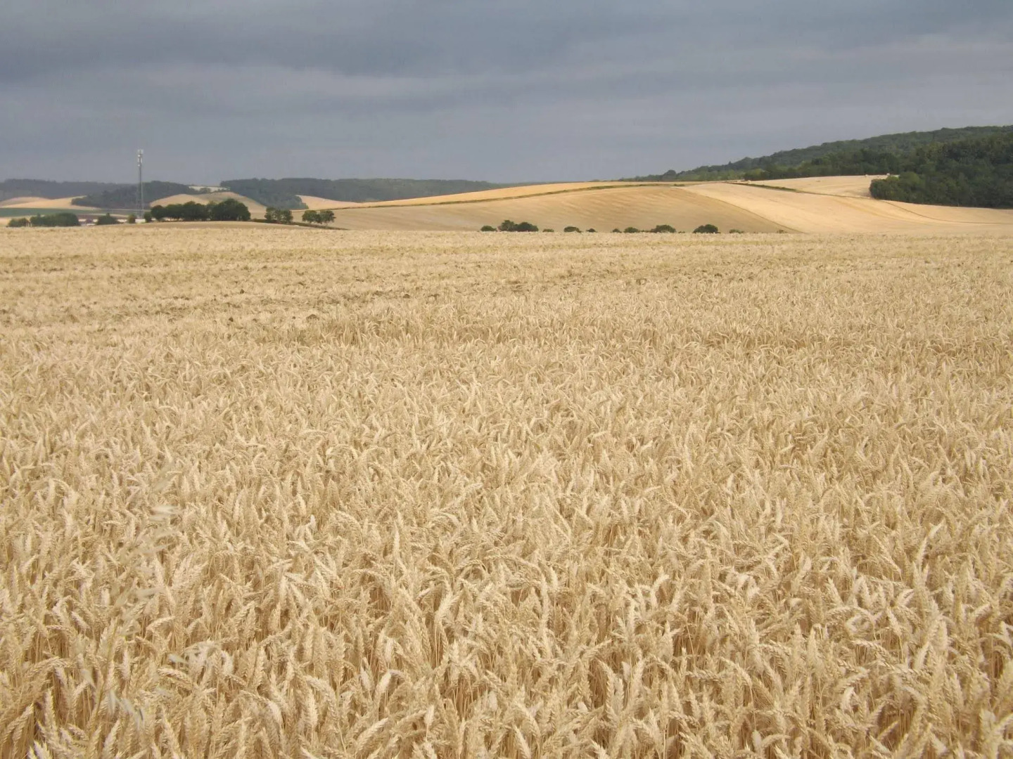 Chambres D'hôtes Le Clos Poli