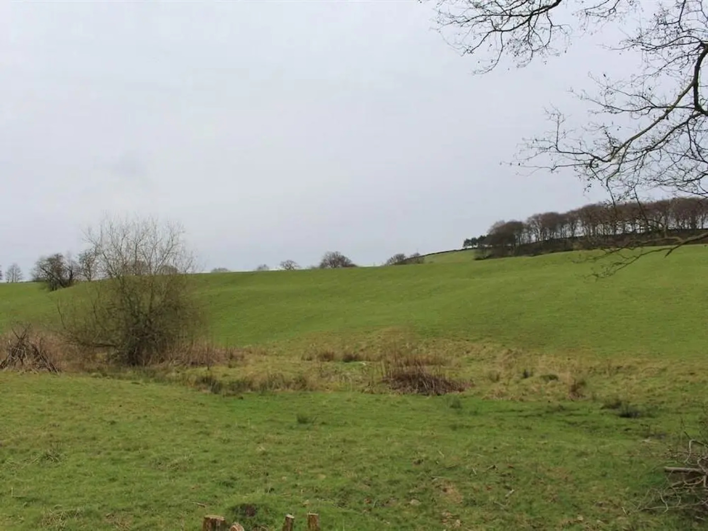 Ladygate Farm Bed and Breakfast