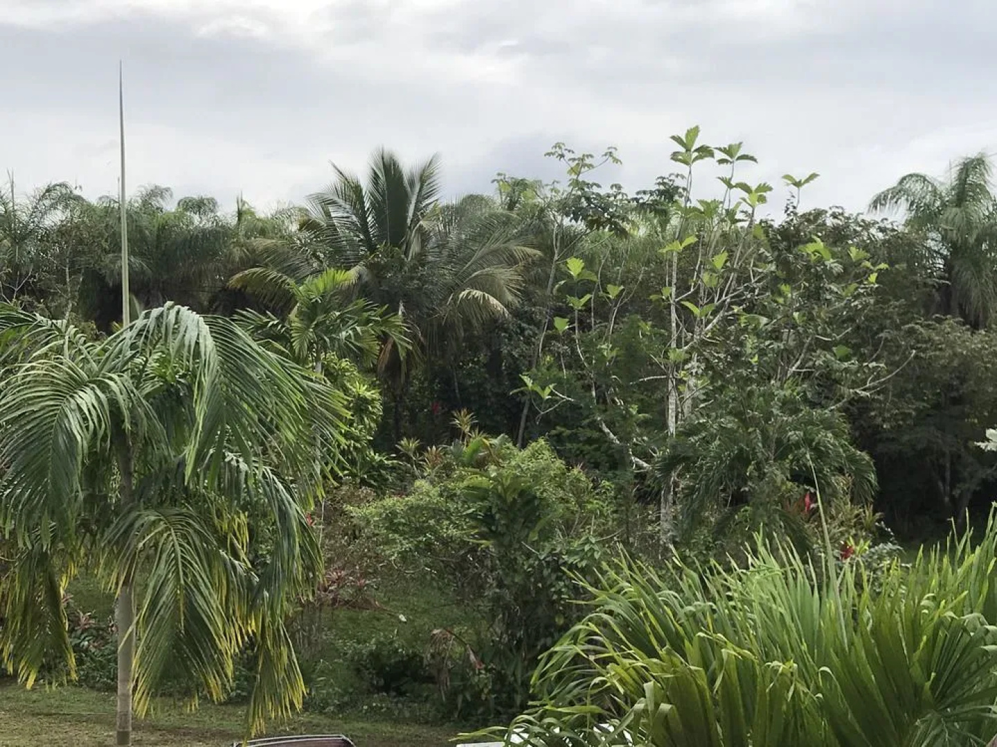 Super Palm Resort