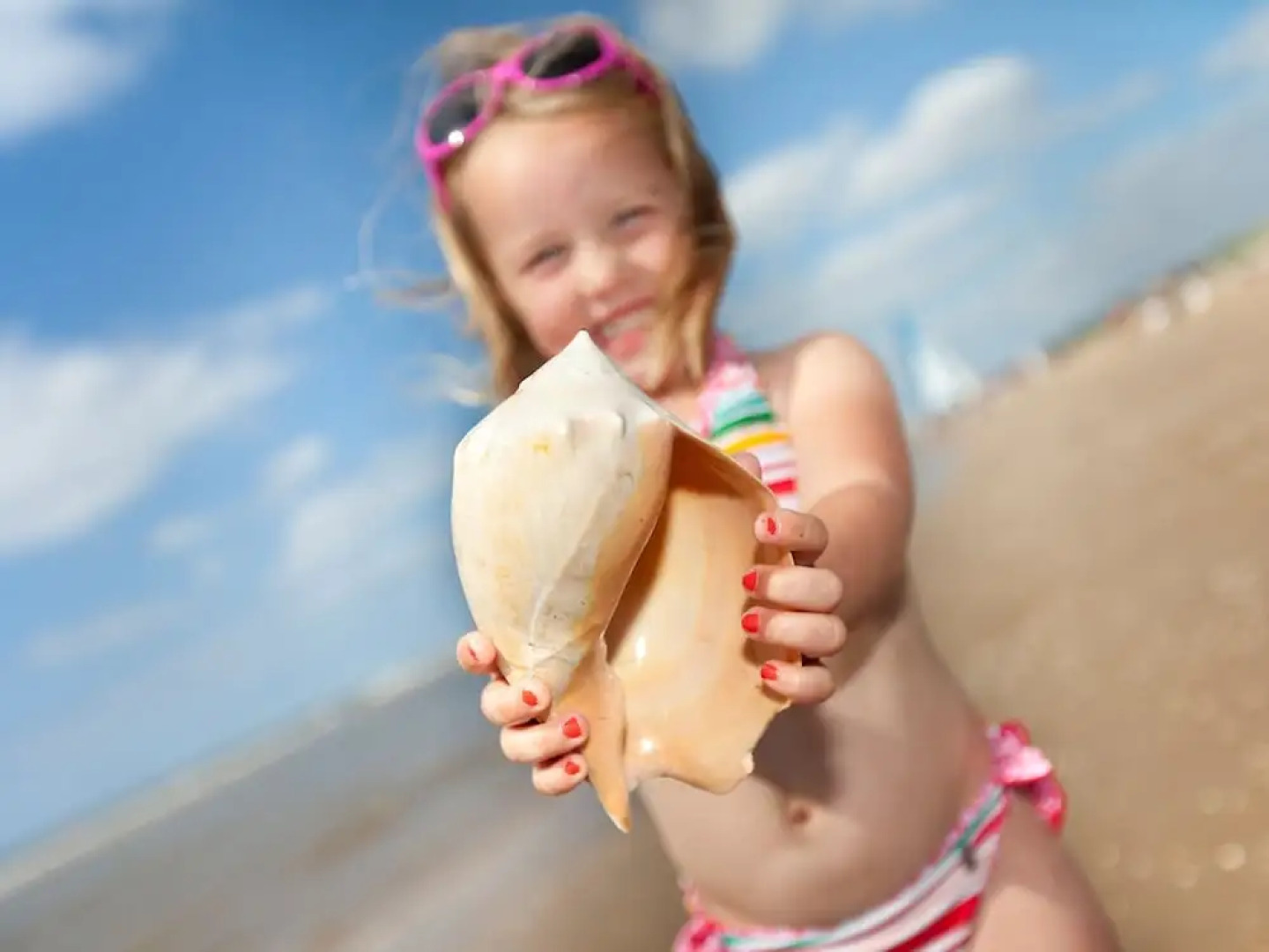 Modern Chalet With Combi Microwave, Near Rockanje