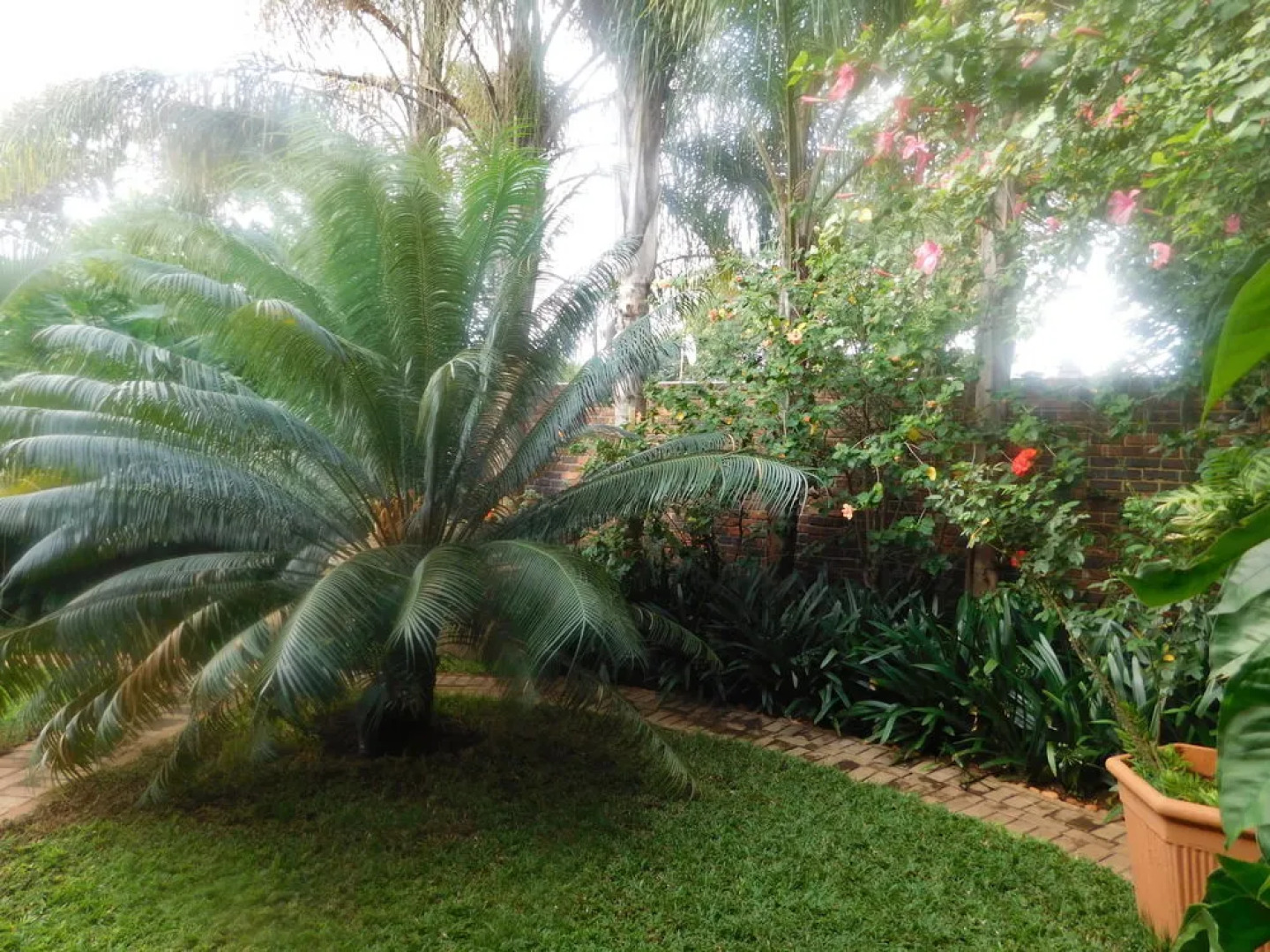 Fouriestreet 199 Bed And Breakfast - Hostel