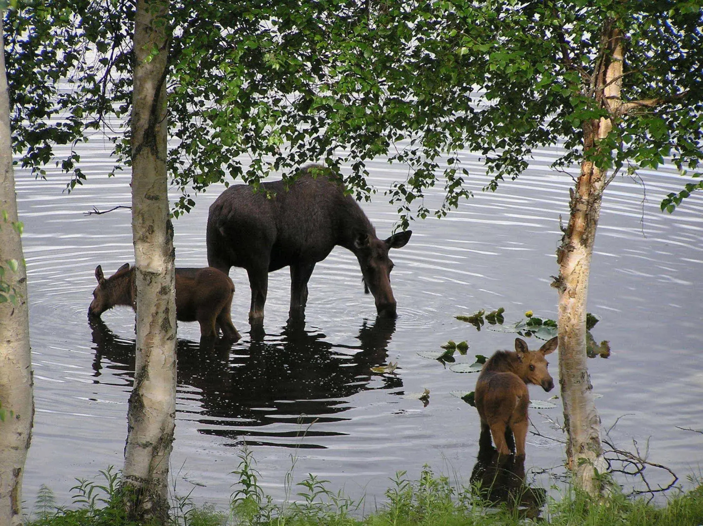St. Theresa's Lakeside Resort