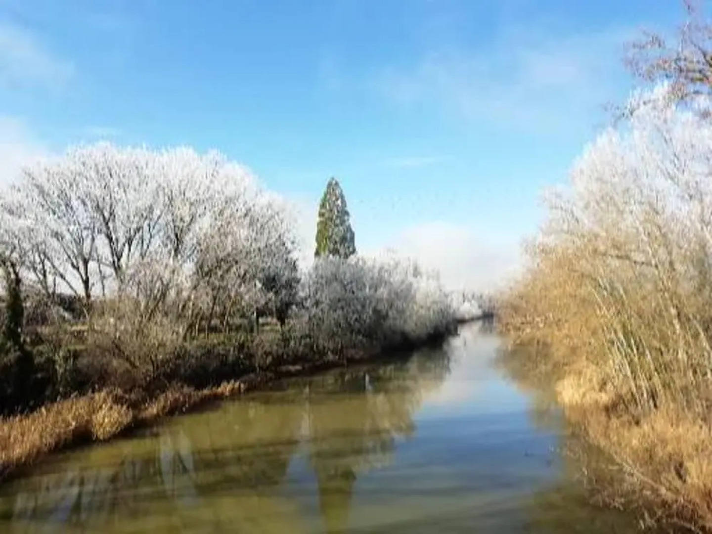 House With 8 Bedrooms in Sardón de Duero, With Enclosed Garden and Wifi