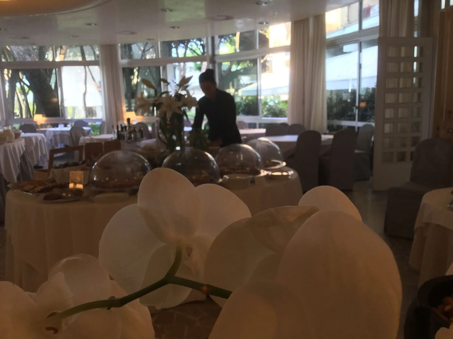 Bellevue Hotel & Resort