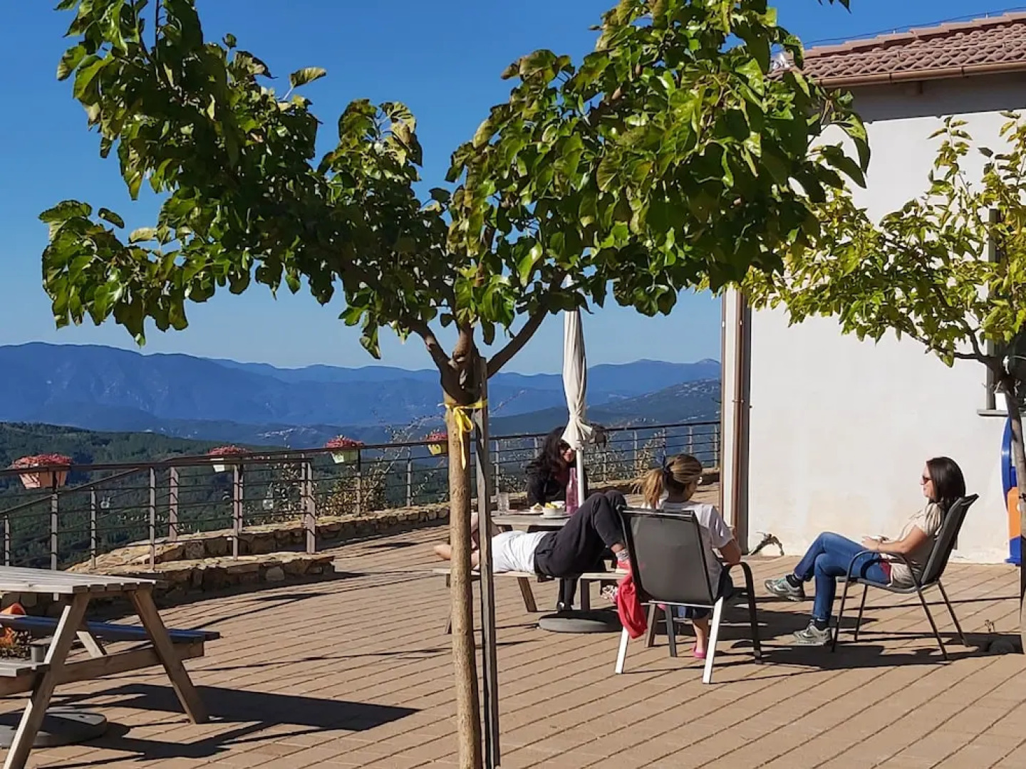 Foresta in Medias Mores