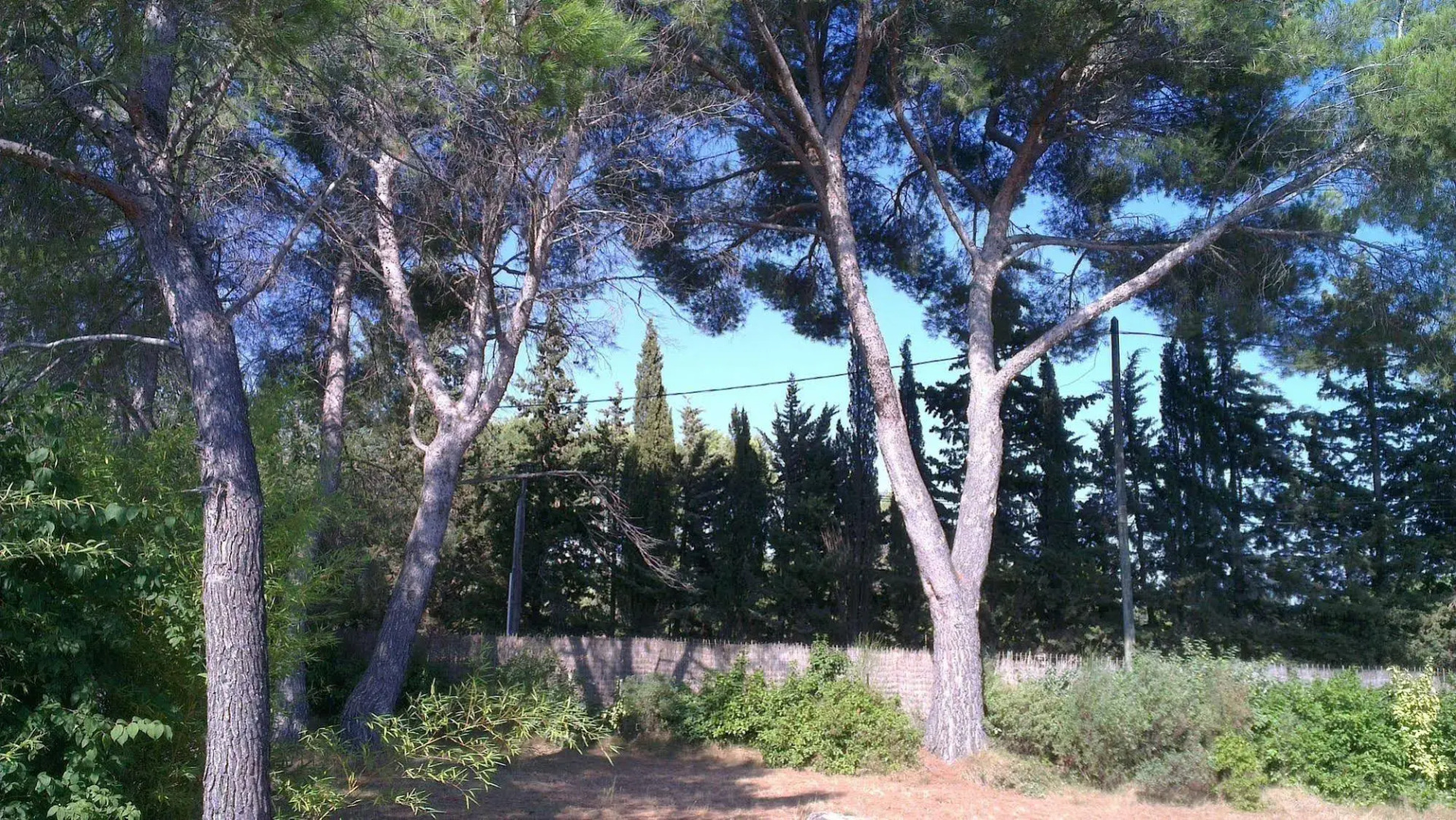 La Petite Maison Sous les Pins