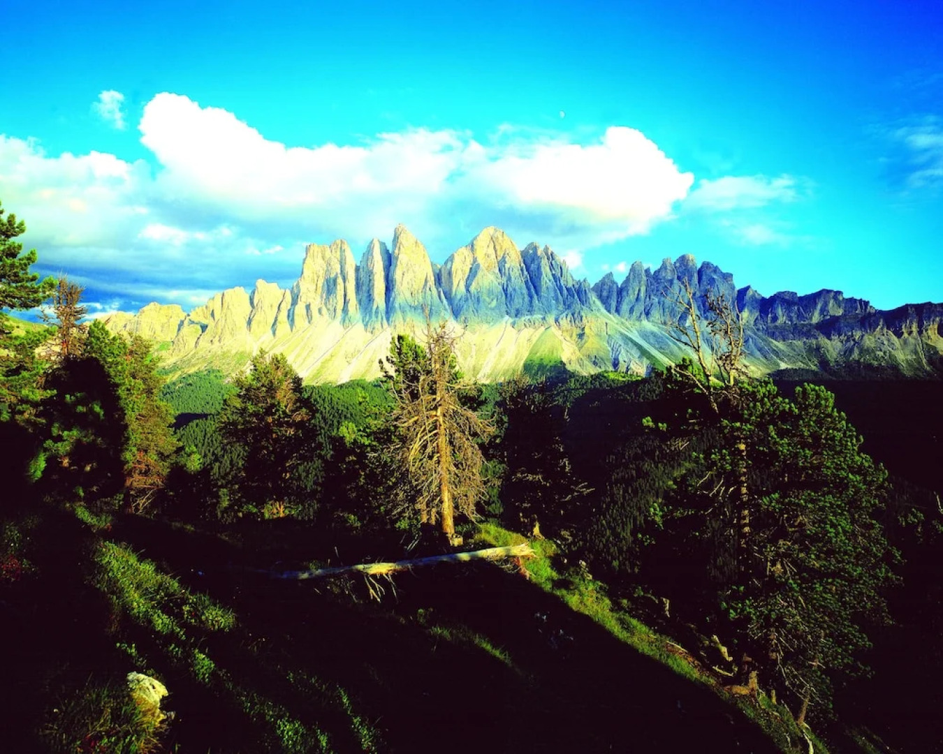 Panoramic Residence Schopplhof
