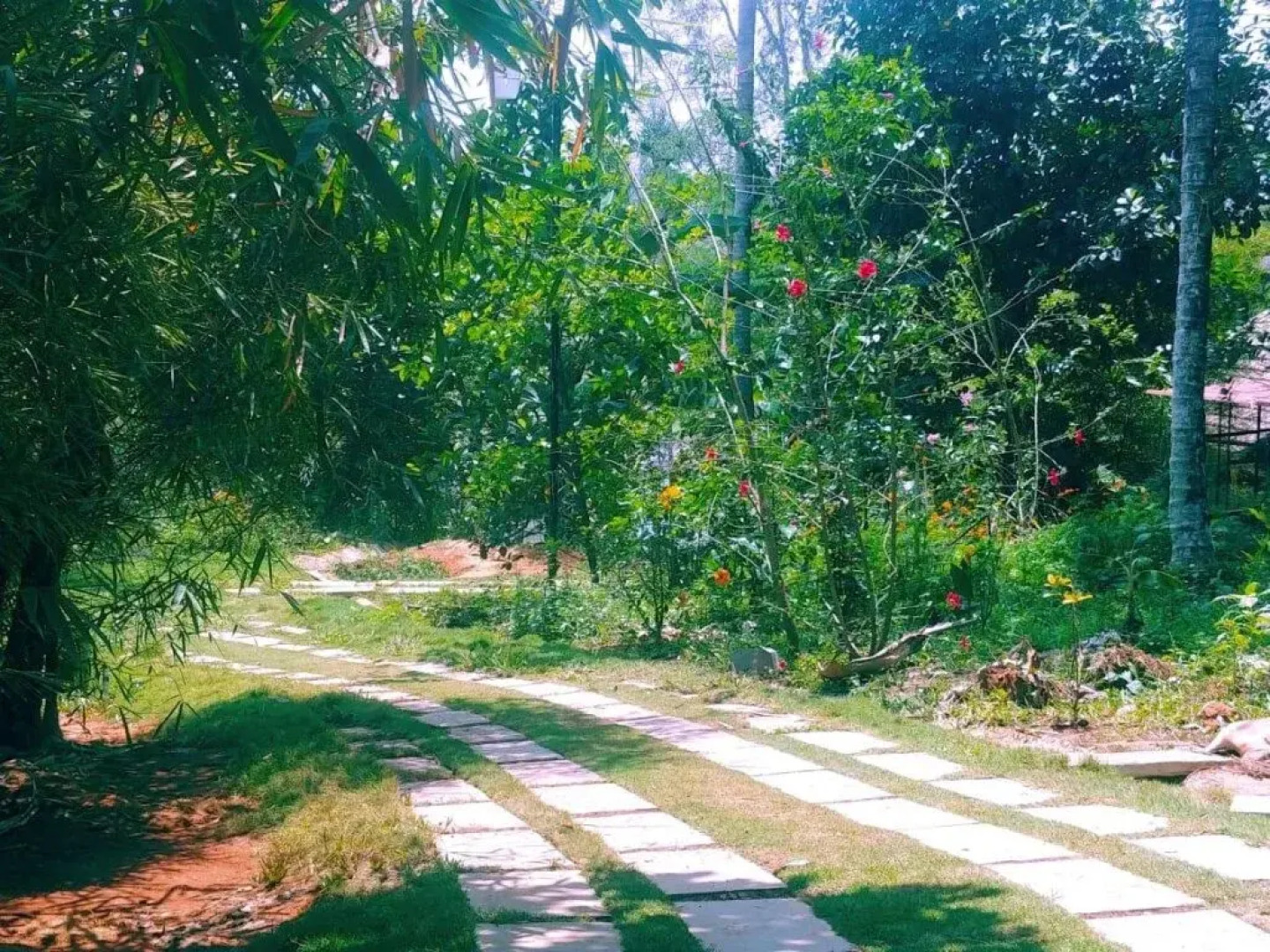 Misty Mornings Resort