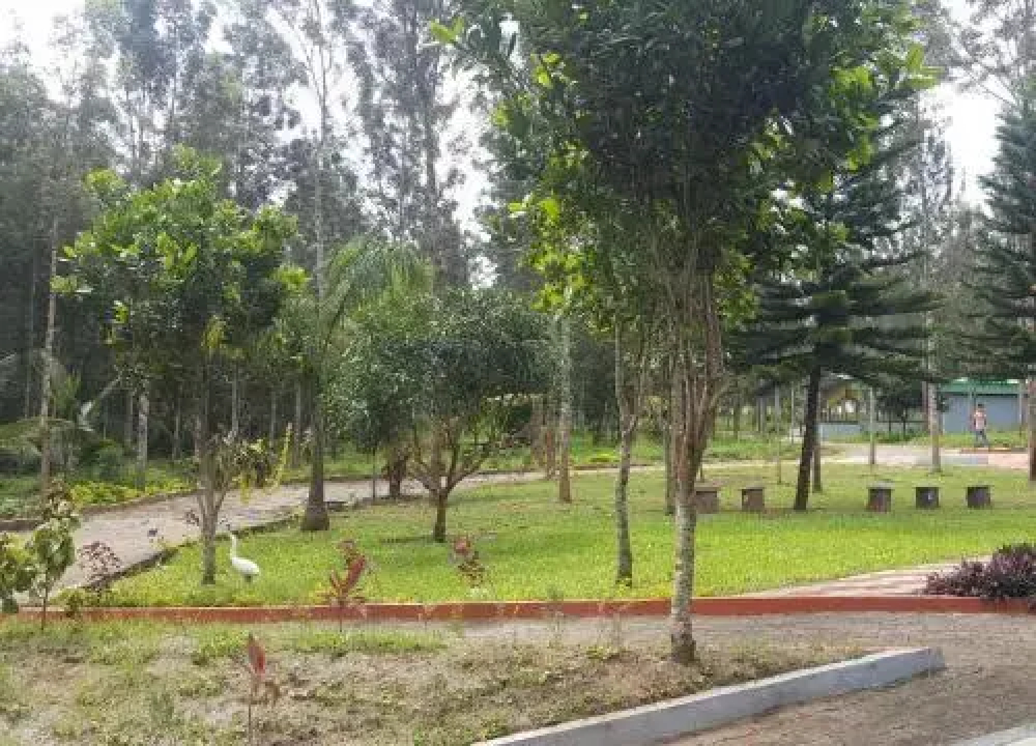 Sipayi Green Valley