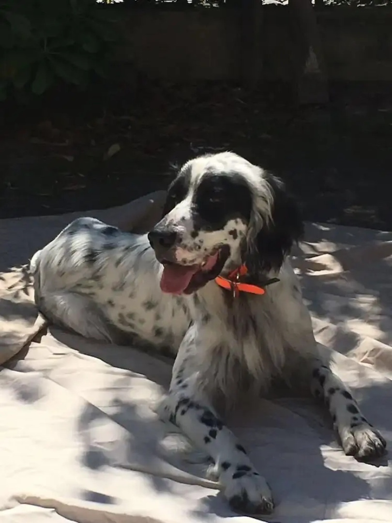 Residenza La Canonica