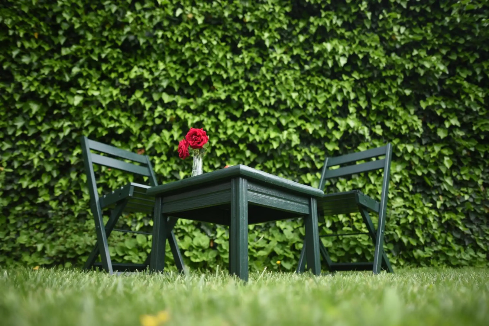 The Old House Paparosa Mostar - Blagaj