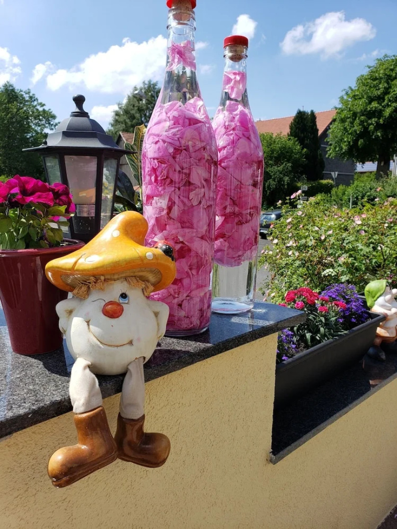 Berggasthof Zum Hirsch