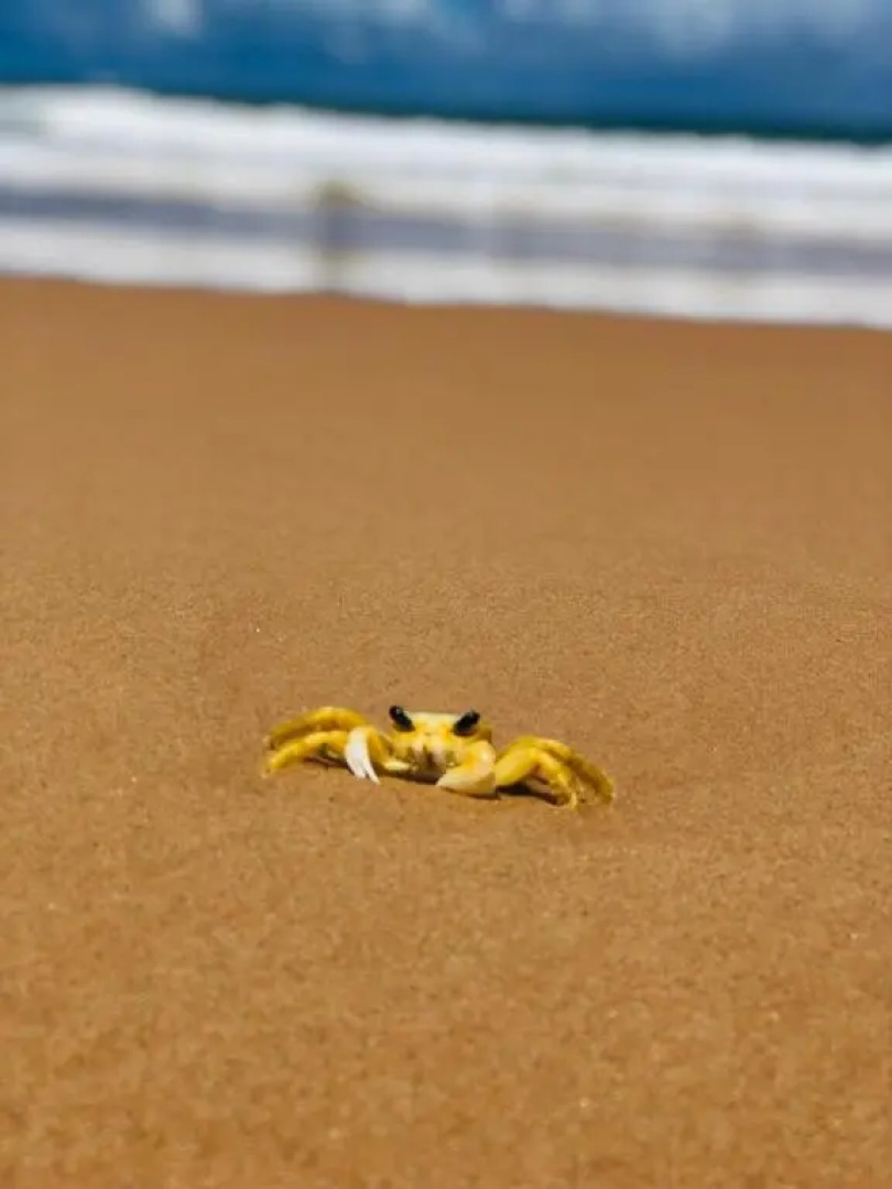 Canto dos Encantos - Flats e Suites