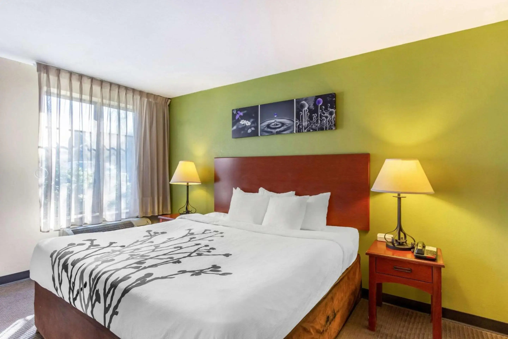 Sleep Inn & Suites Jacksonville West