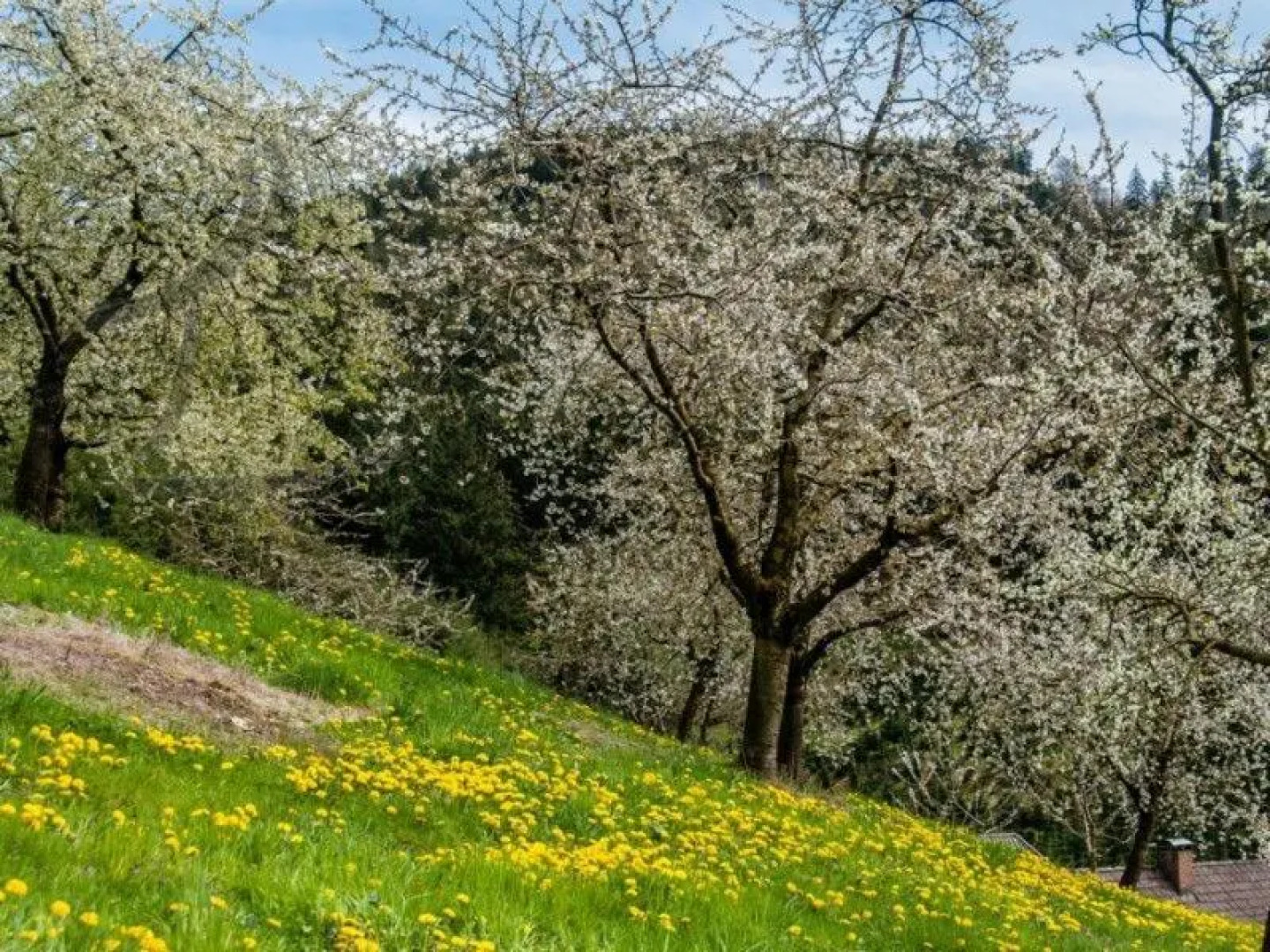 Vogthof Wohnung Schneckenhus