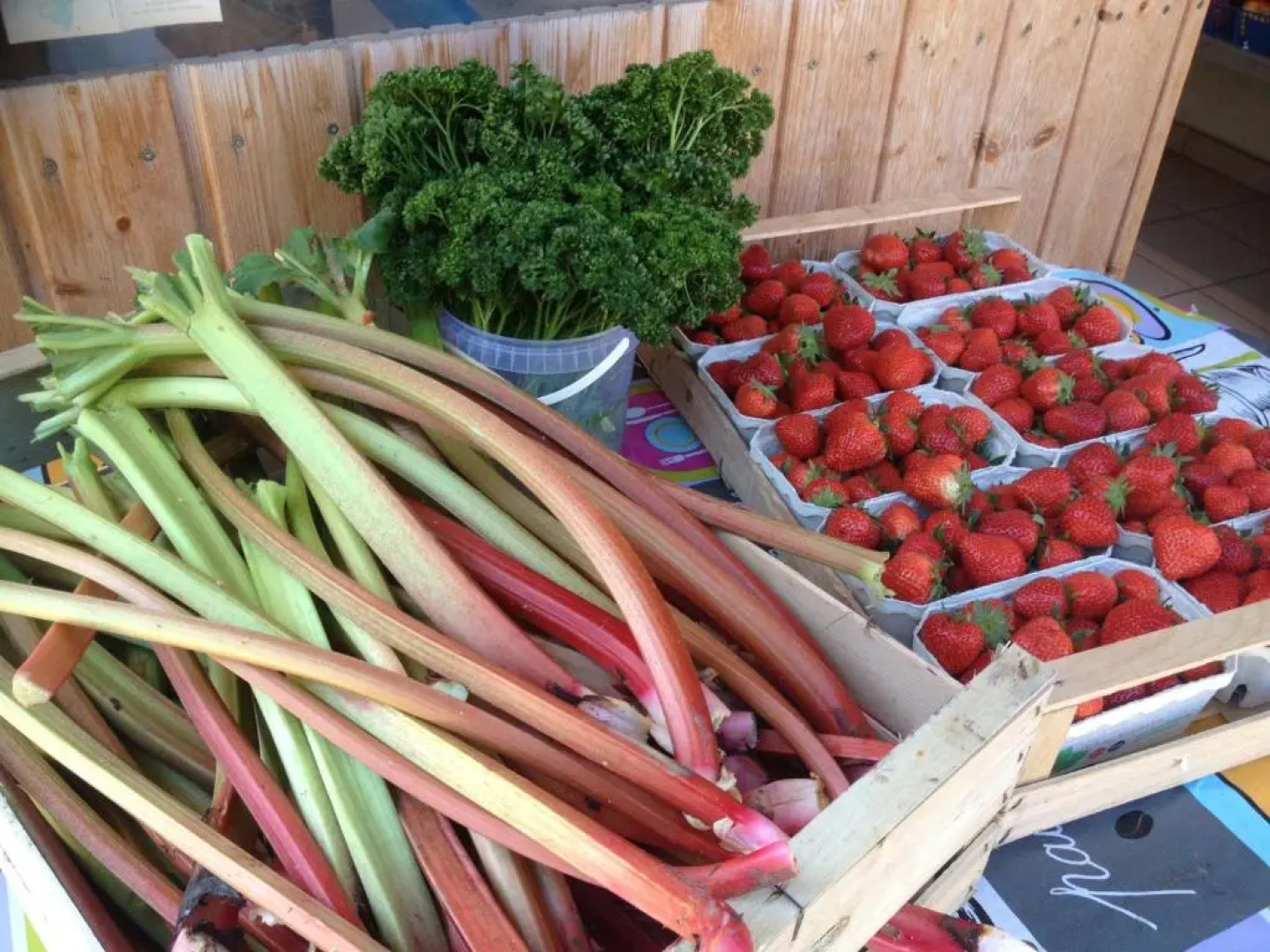 Gite du Marché dElsa