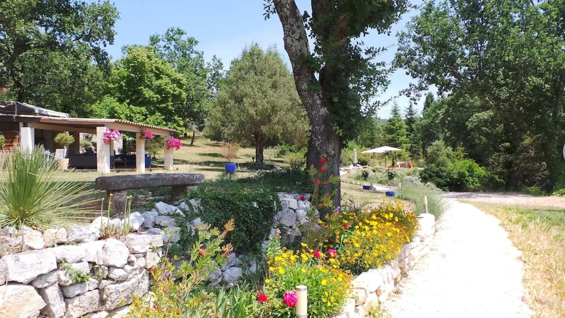 The Lotus Tree Guesthouse