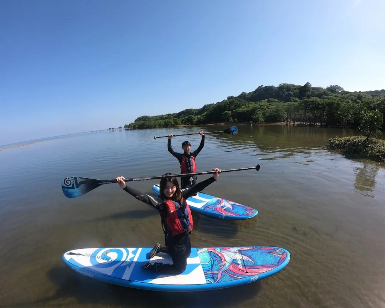 Iriomotejima Jungle Hotel Painumaya