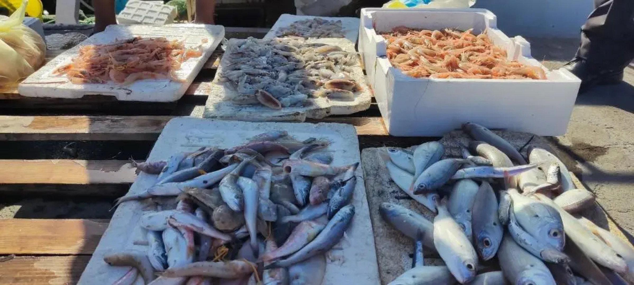 Appartamento Porto Marina VA1