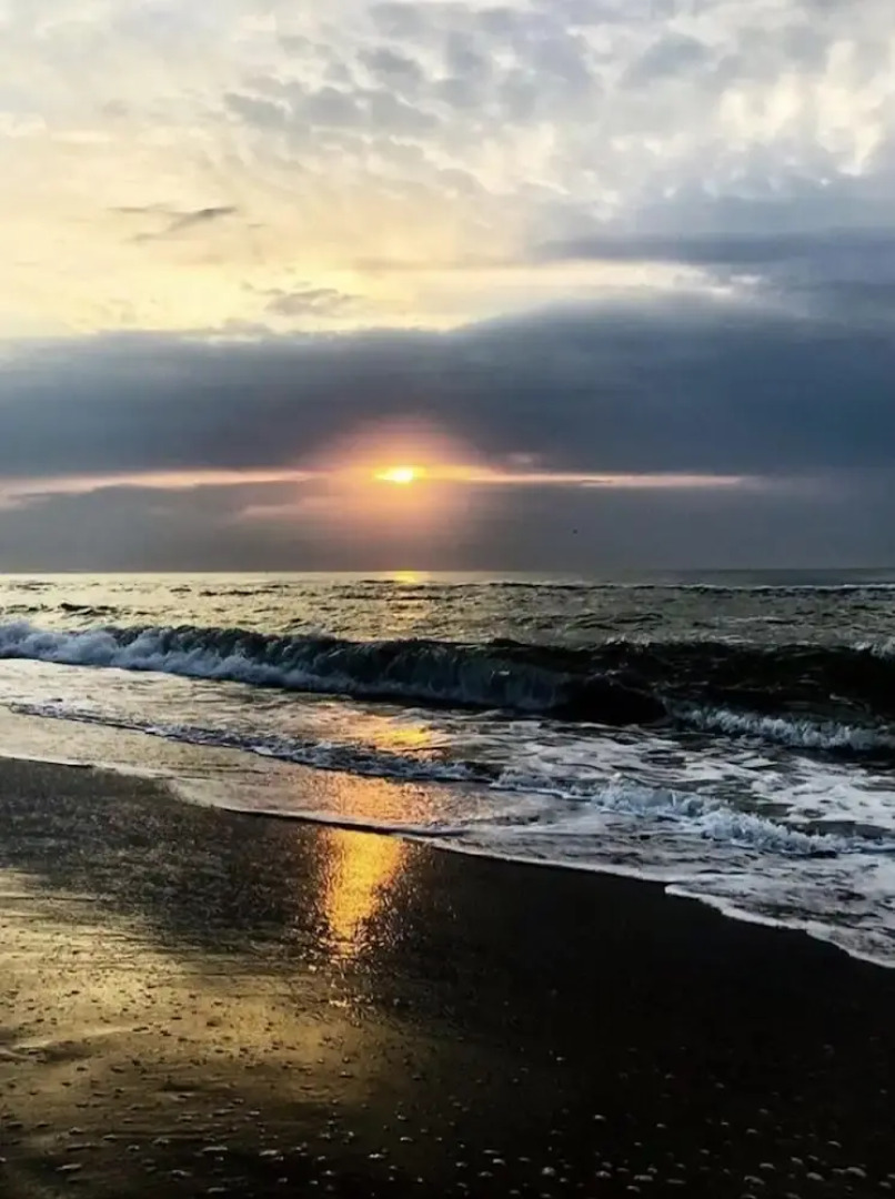 Отель Alion Затока