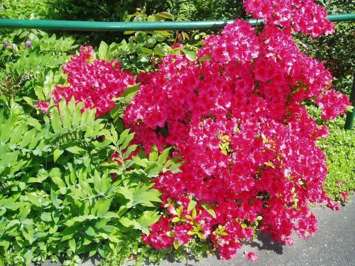 Schwarzwaldhotel Garni Wolfach