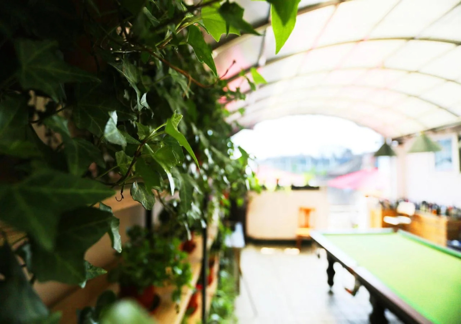 Nanjing Sunflower Youth Hostel