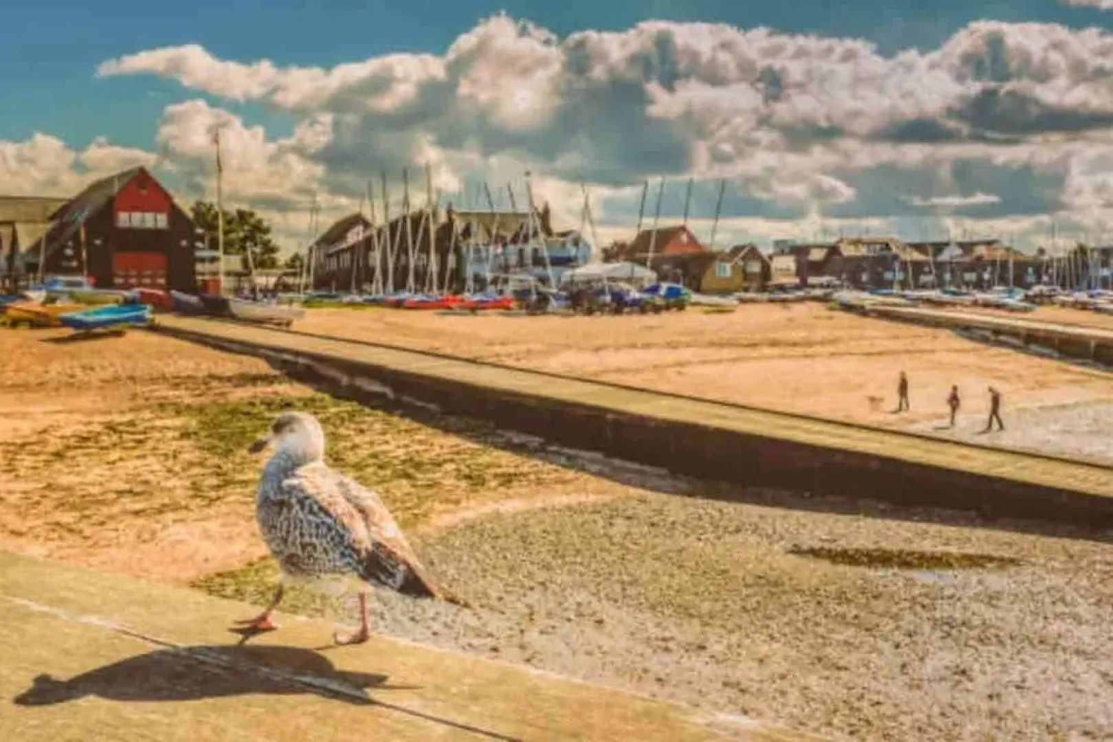 Beautiful Cottage in Central Whitstable