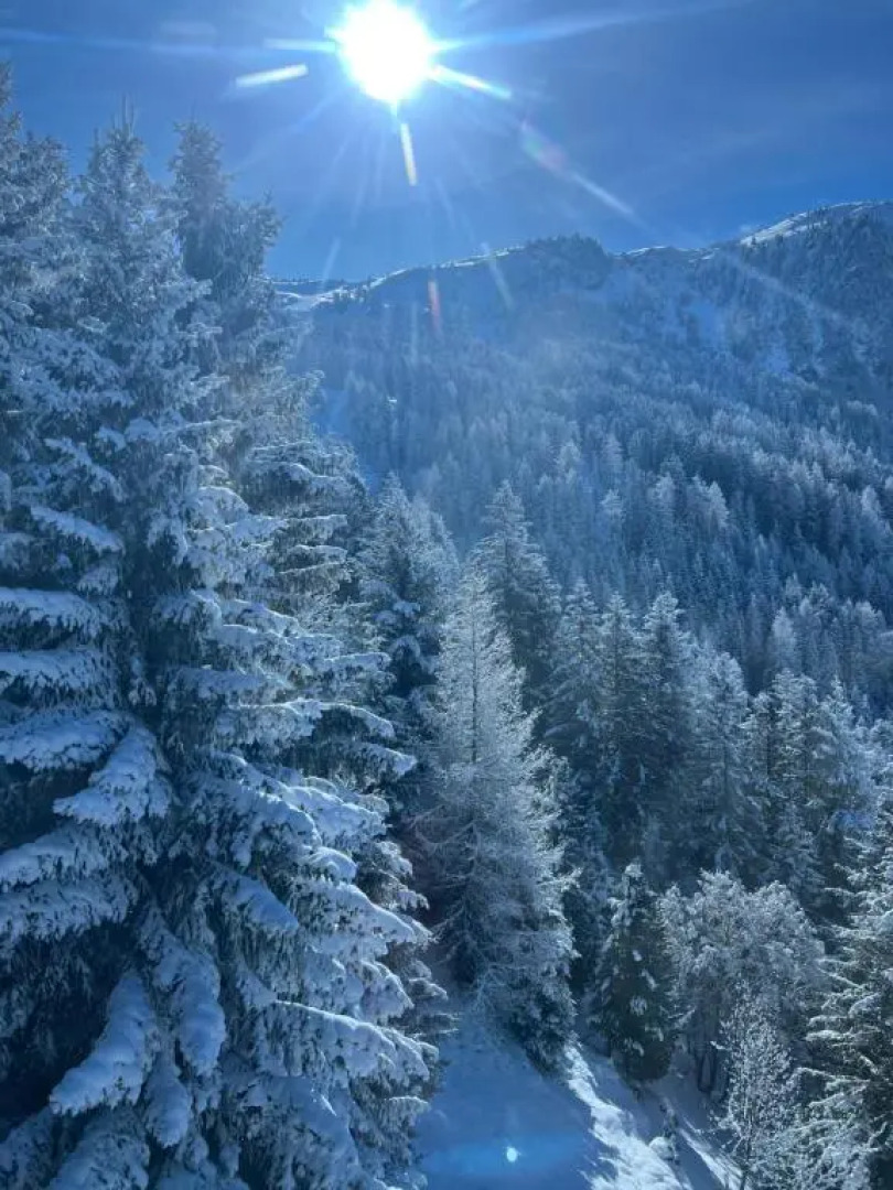 Gschlössle Ferienwohnungen