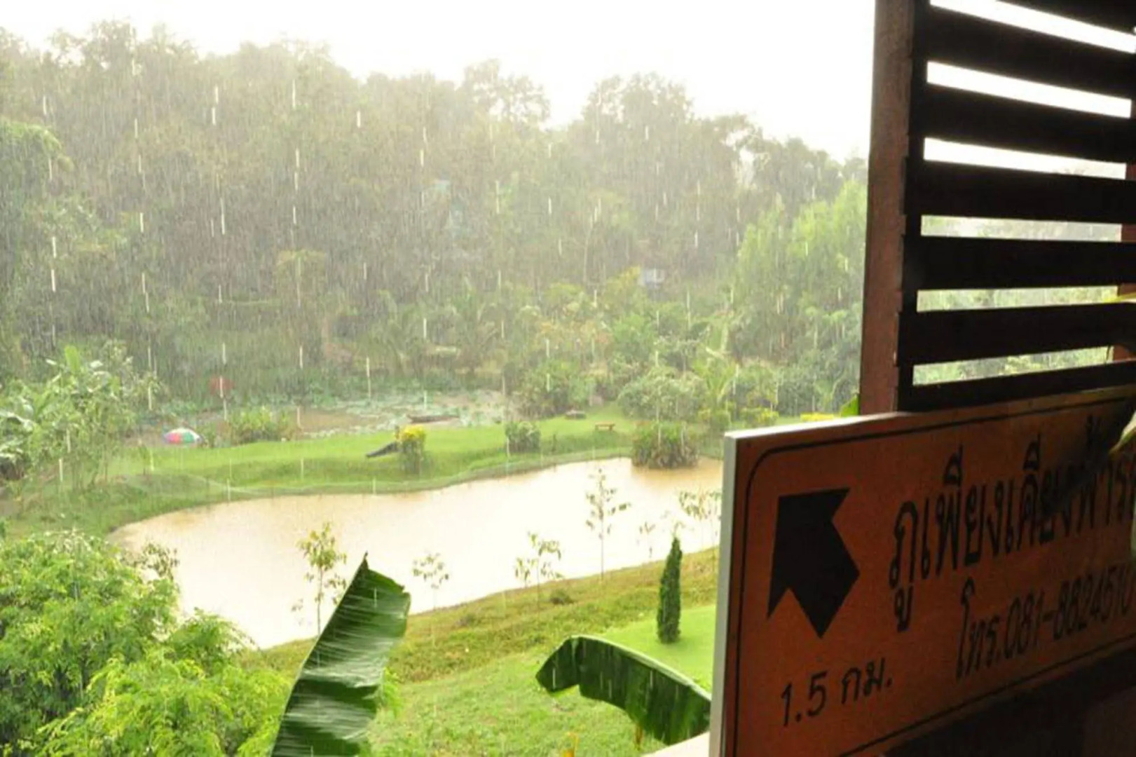 Phuphiangkhiangfah Resort