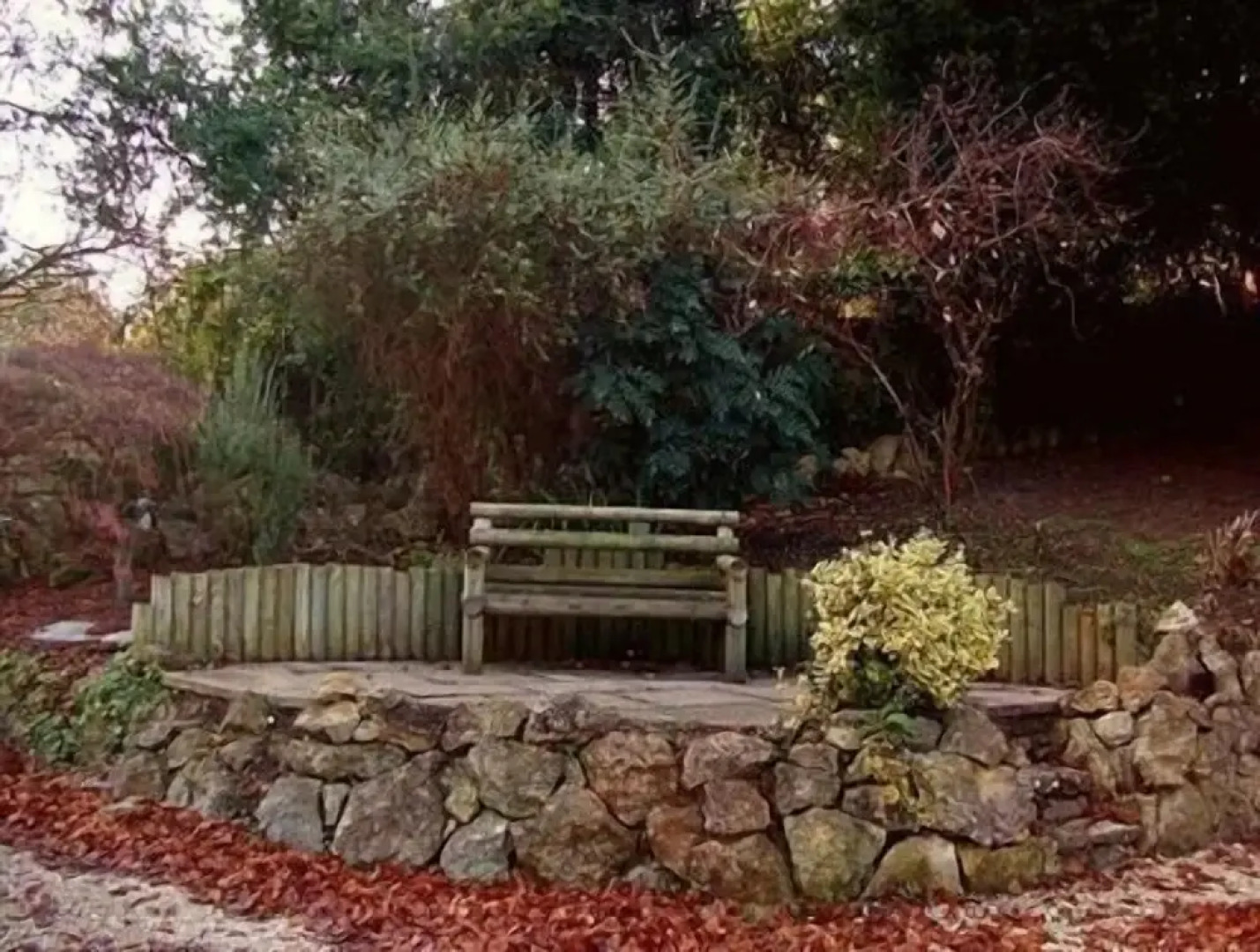 Tibbiwell Lodge - B&B