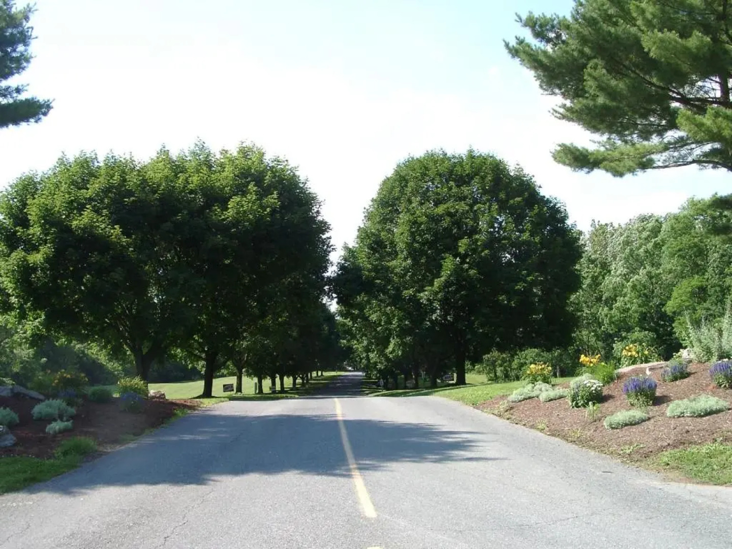 Circle M Camping Resort Screened Park Model 27