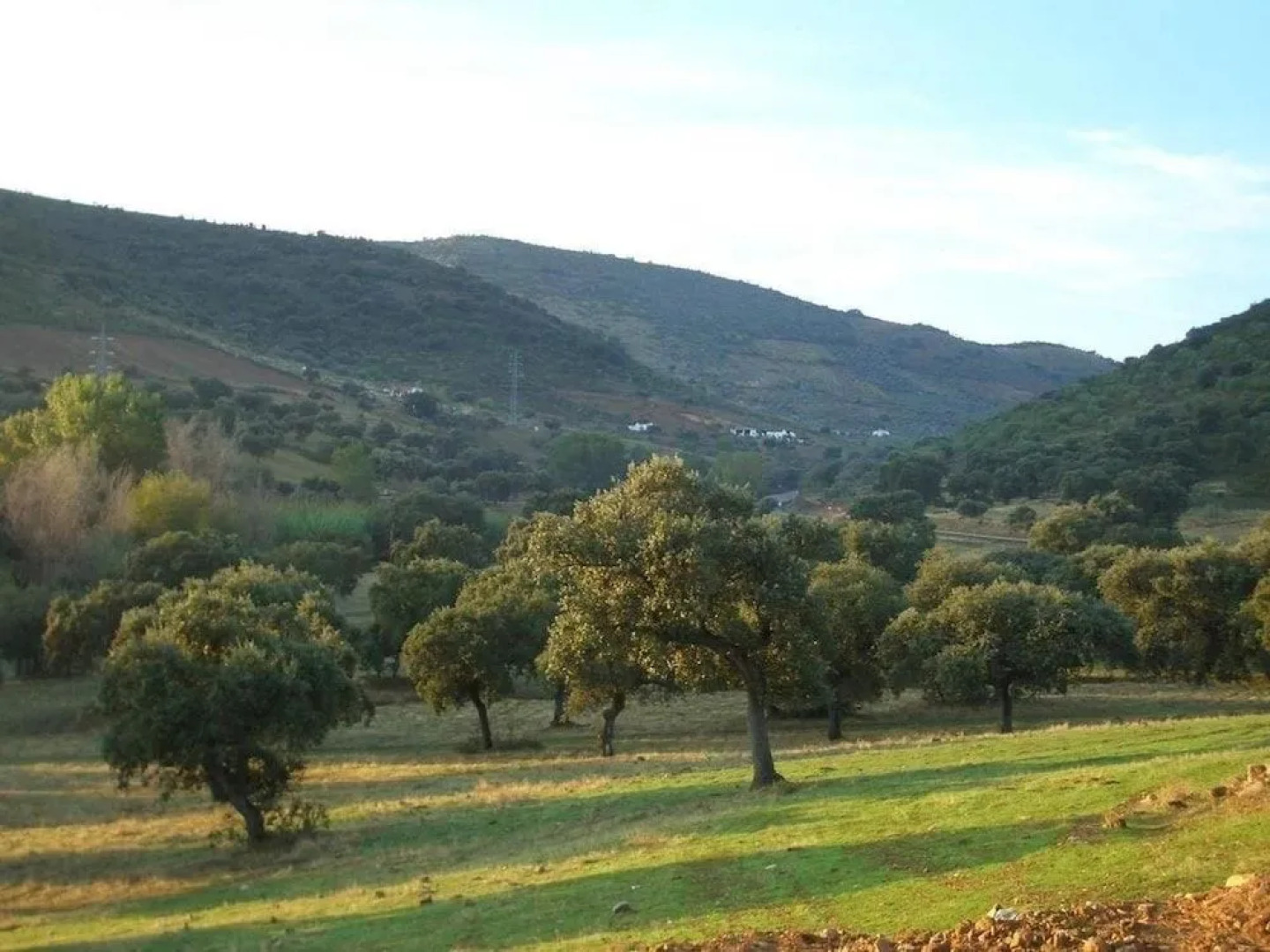 Cortijo El Criadero