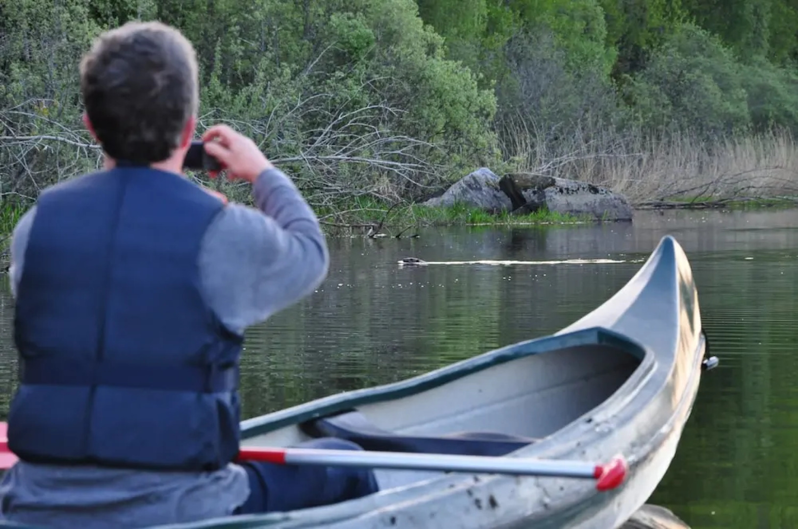 Eden's Garden Cottages