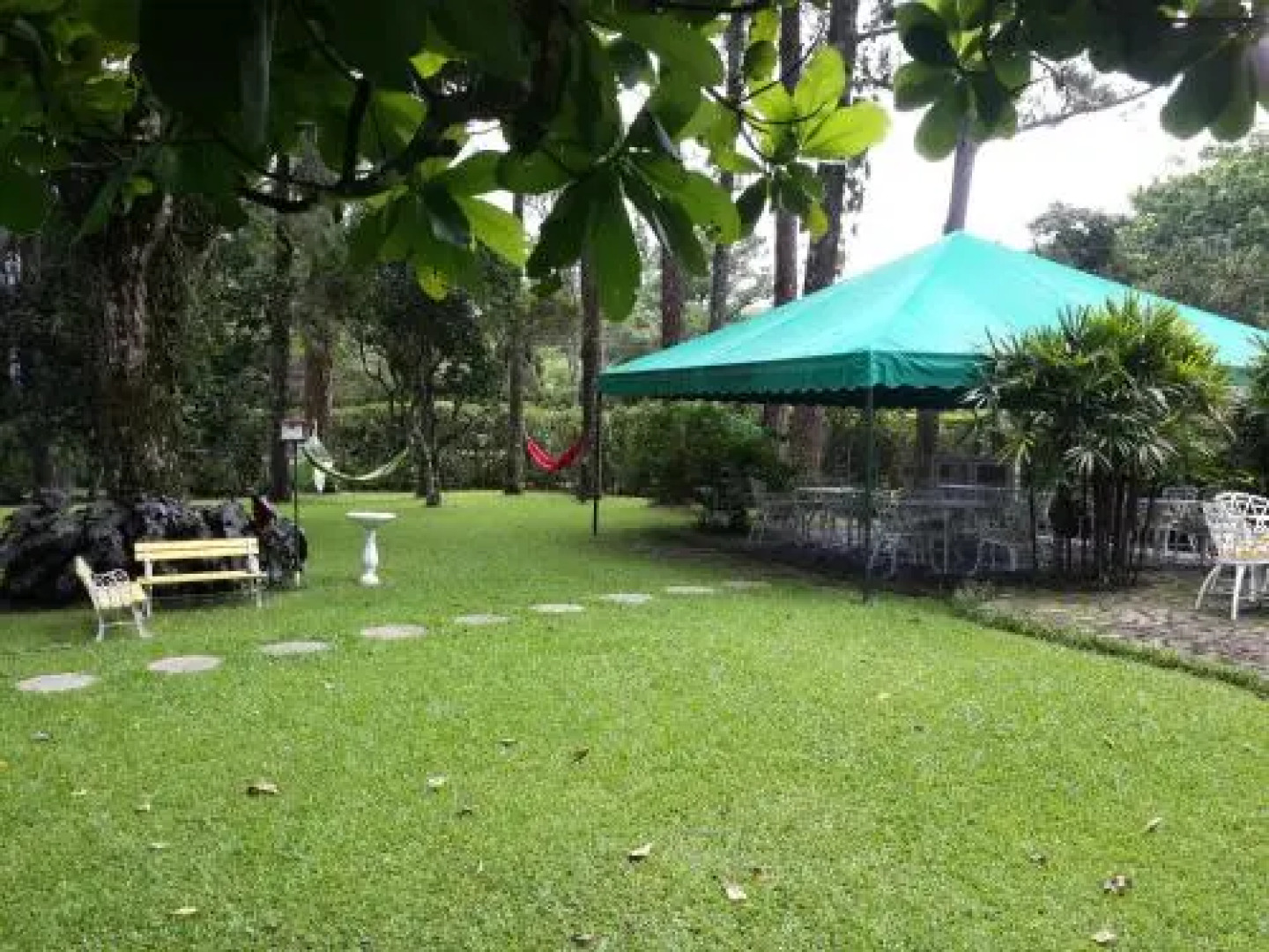 Park Eden Bed & Breakfast