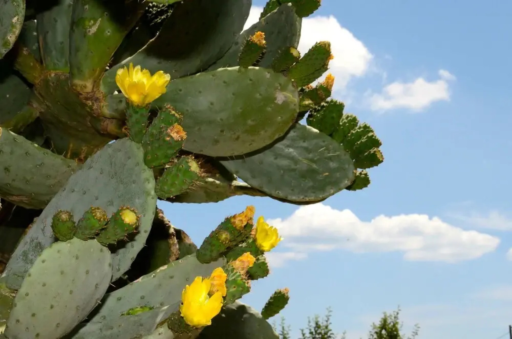 Toccacielo Hotel Village