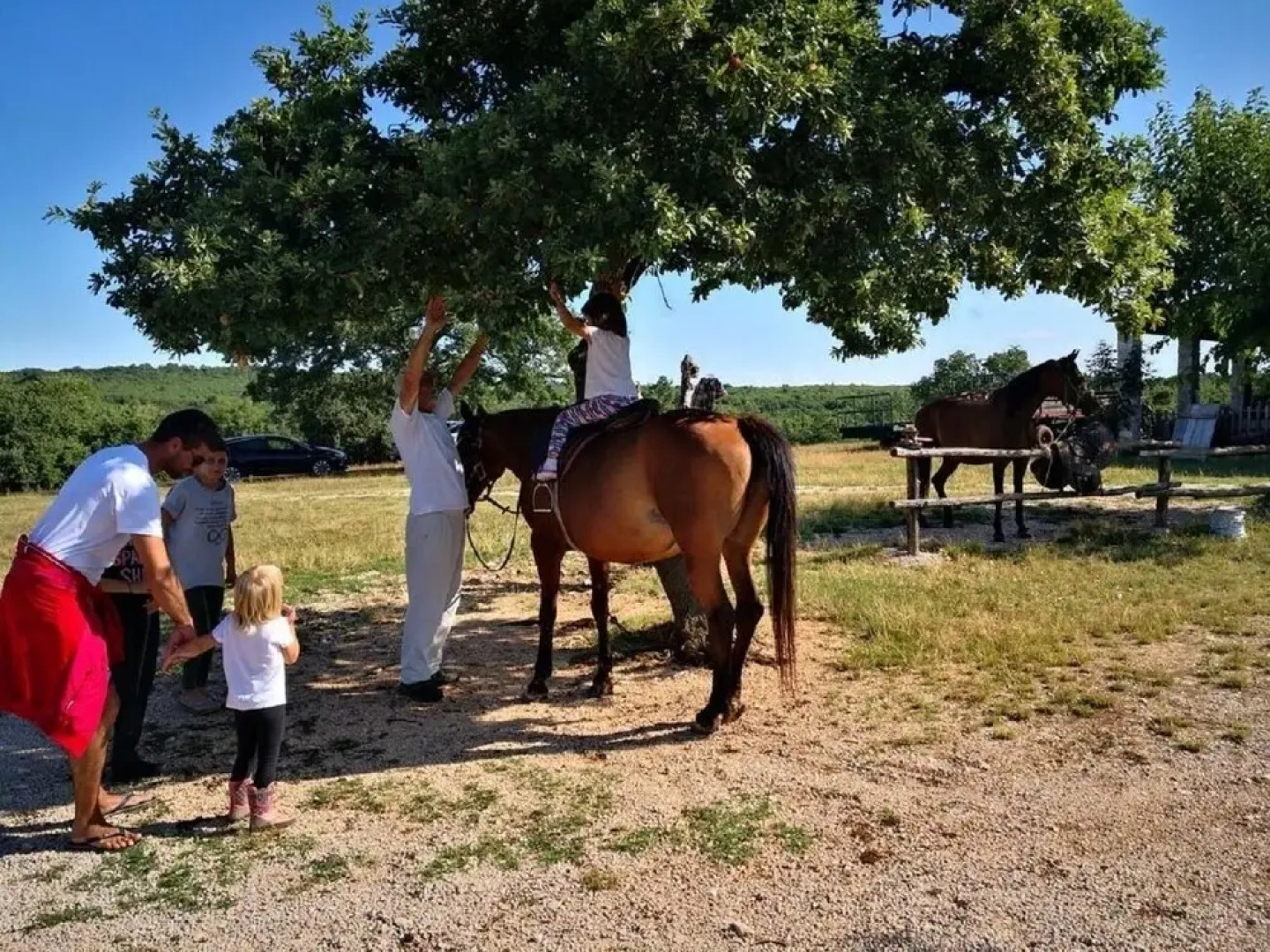 Barbara - Perfect Holiday - H