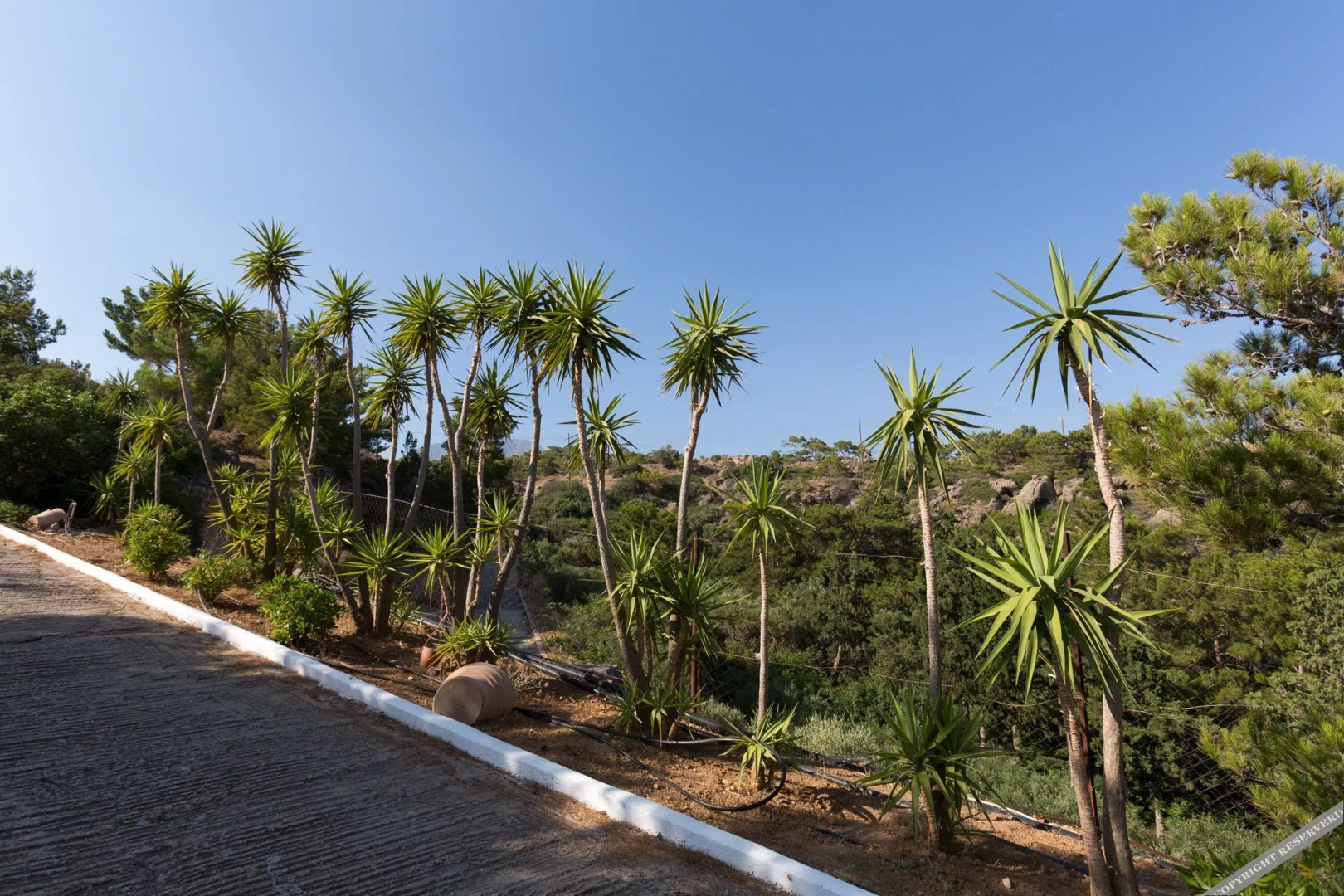 Ferma Hill Apartments