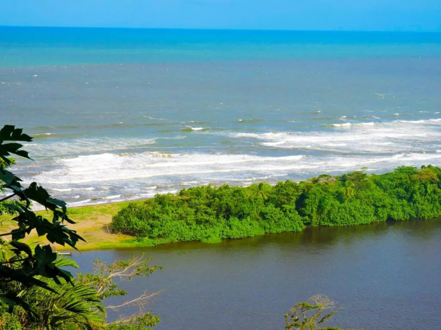 Hotel Tortuguero Beachfront