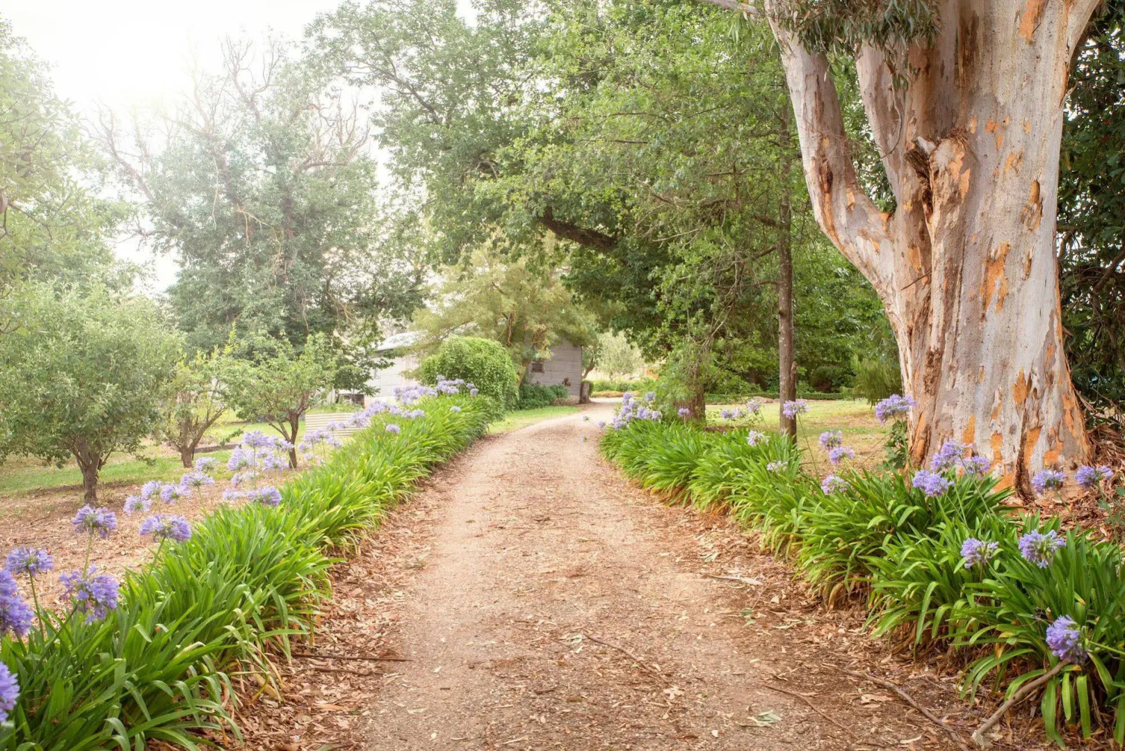 Mittagong Homestead & Cottages