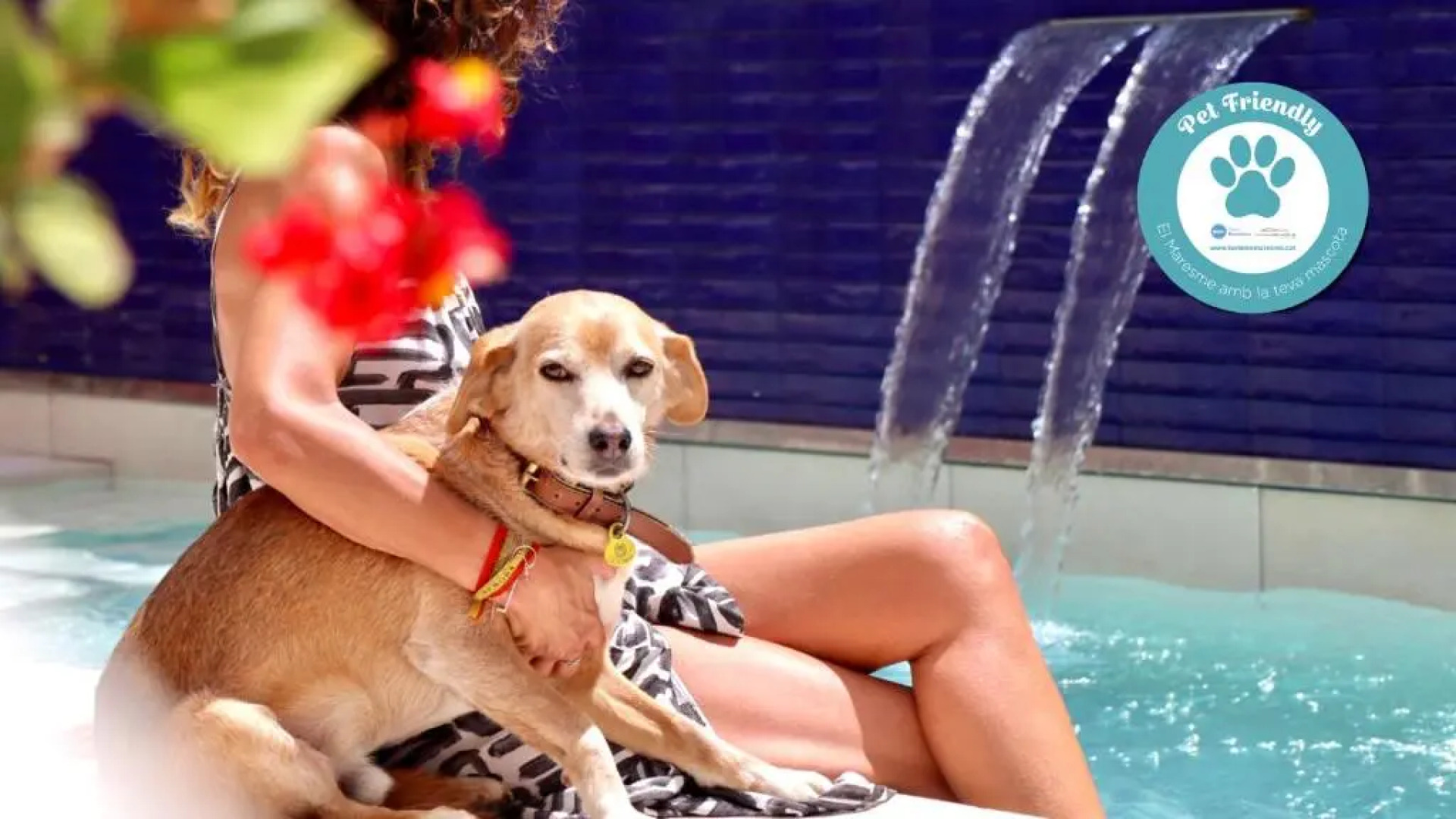 Apartamentos Neptuno