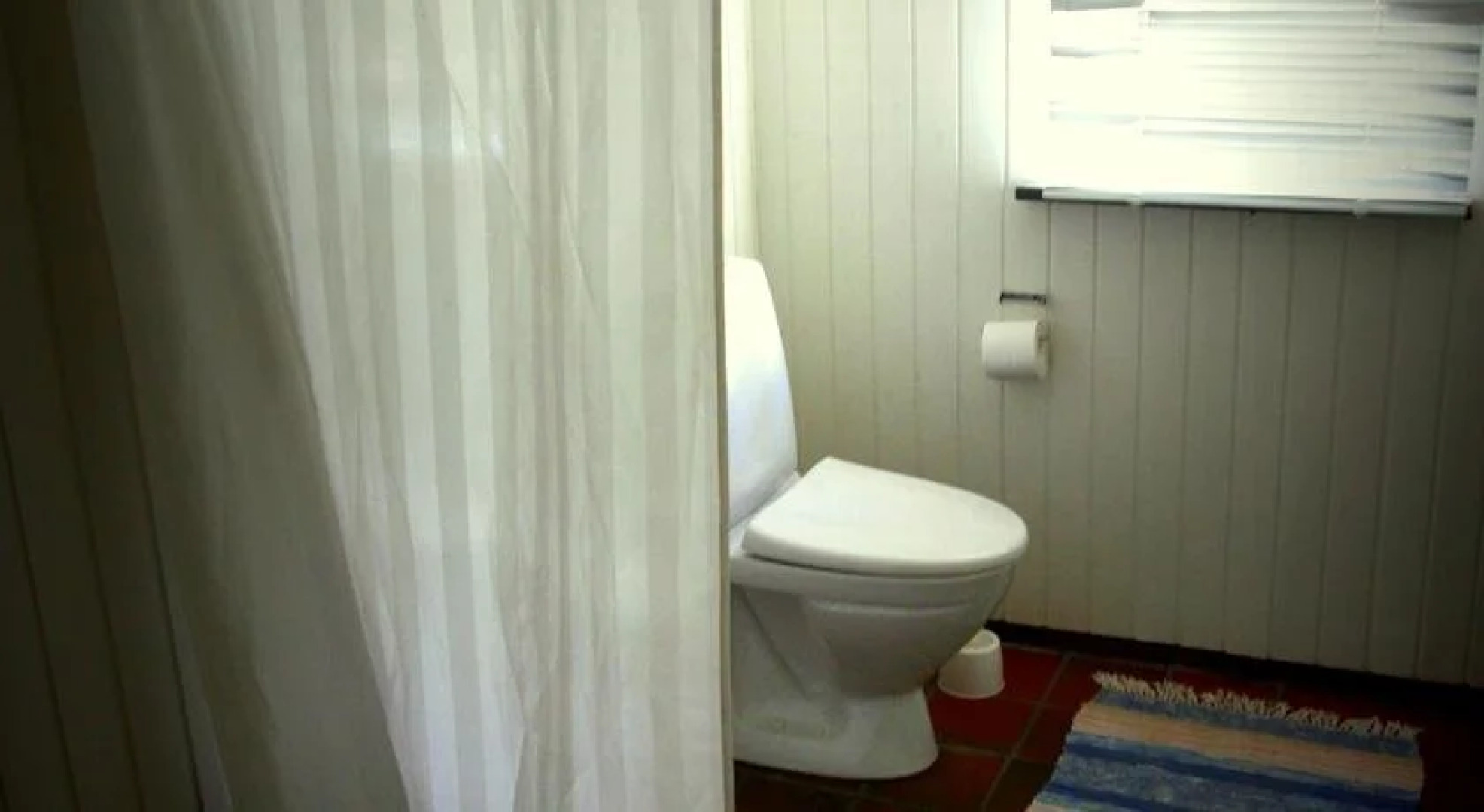 Stutteri Skandi Hest