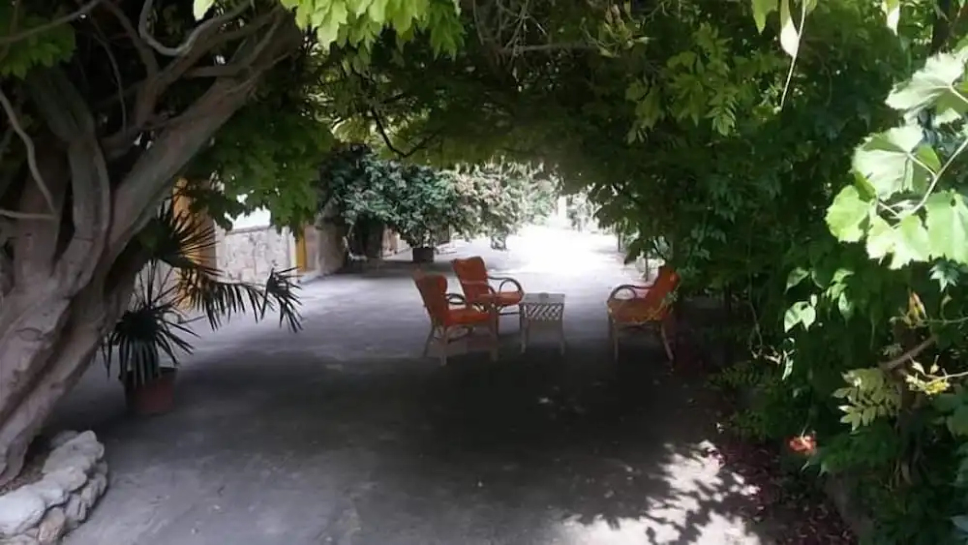 B&B Casa Museo Elio Romano