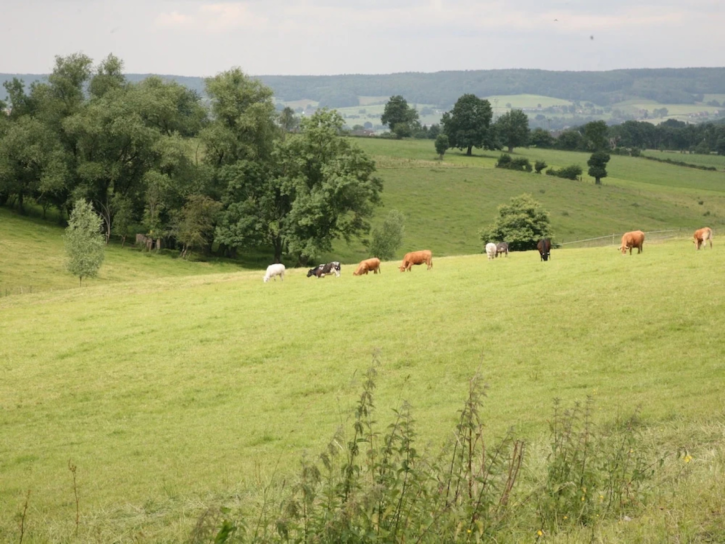 Cosy And Comfortable Village House With Sunny Garden In The Village Of Erezee