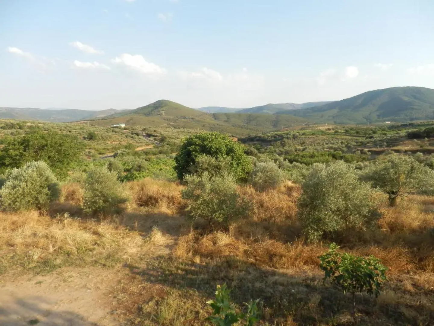 Casa Rural Los Olivos