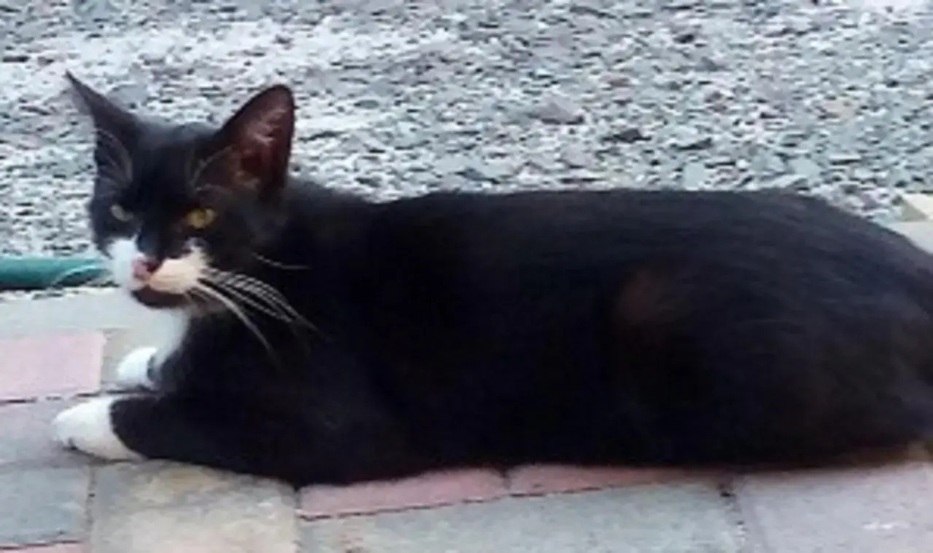 An der Alten Ziegelei