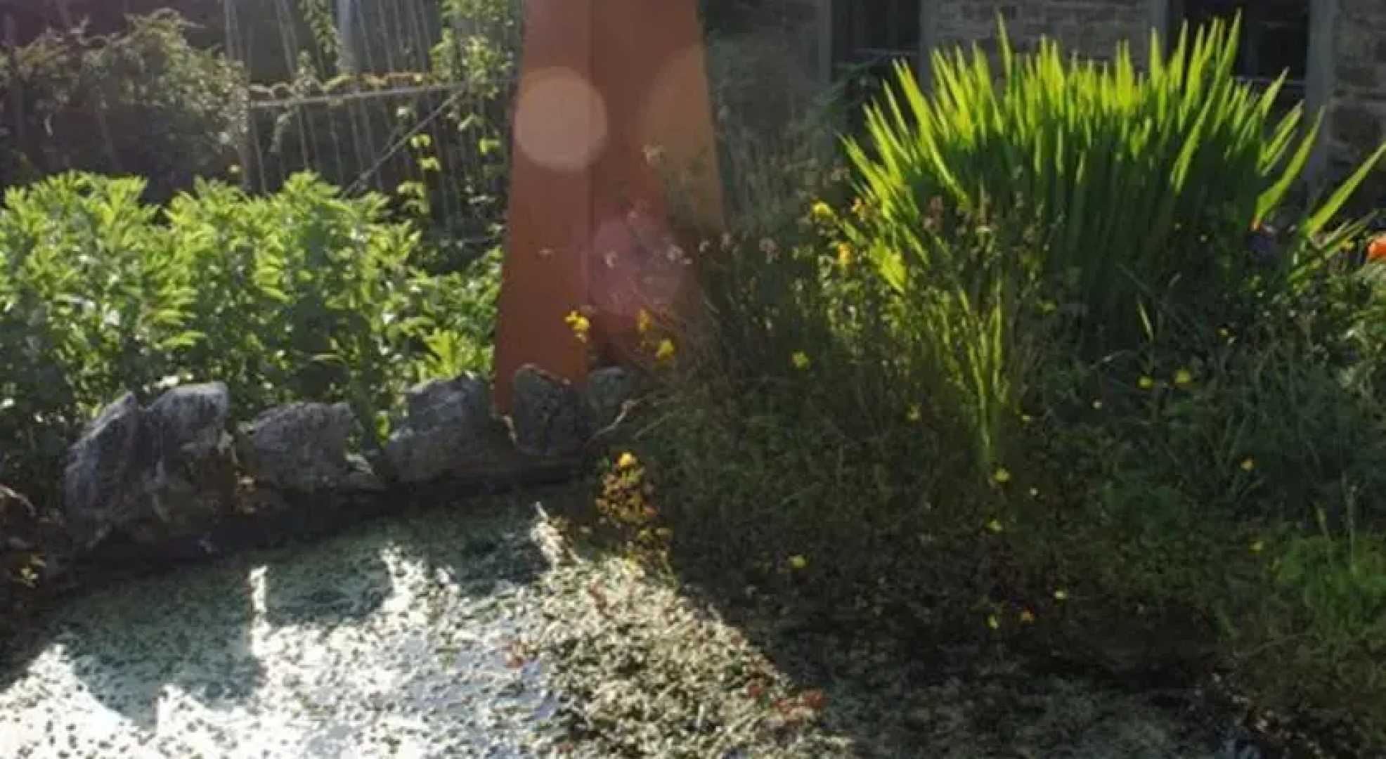 Langcliffe House B&B